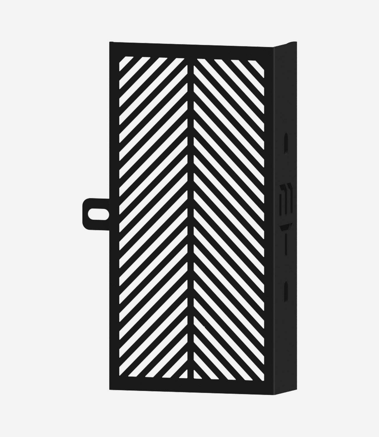 X-PULSE/XPULSE RALLY EDITION - RADIATOR GUARD