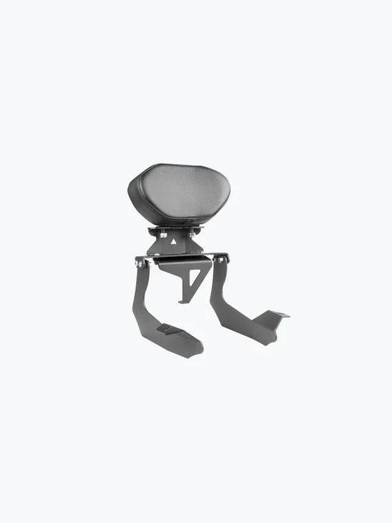 LEGUNDARY CUSTOM HNESS BACKREST MILD STELL
