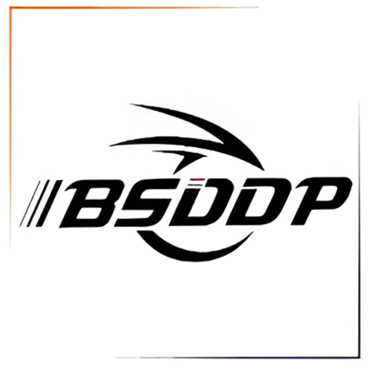 BSDDP
