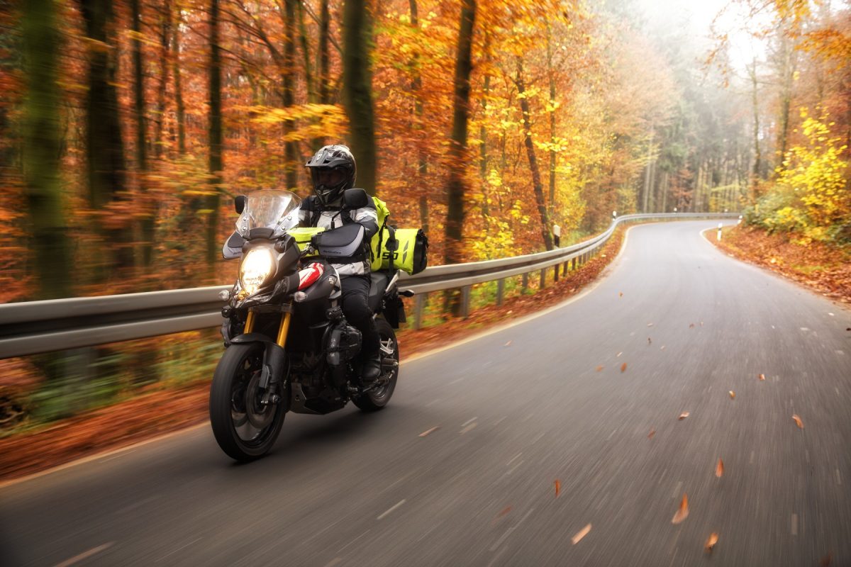 Barkbusters Blizzard Handguards (BBZ-001-01-BK)