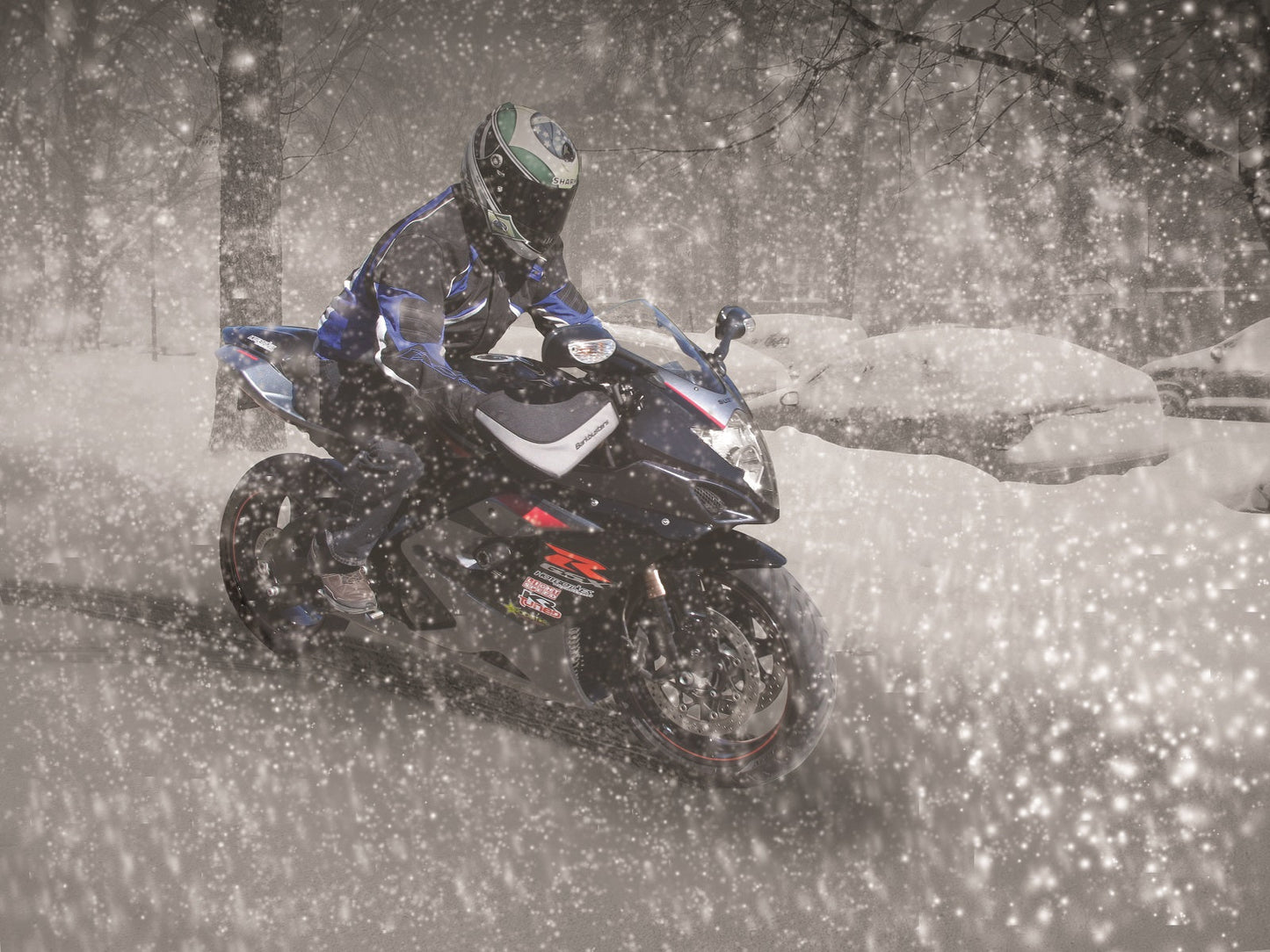 Barkbusters Blizzard Handguards (BBZ-001-01-BK)