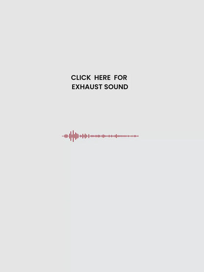 NORIFUMI RV1 N4 CRF 150L EXHAUST FOR XPULSE/RALLY 200