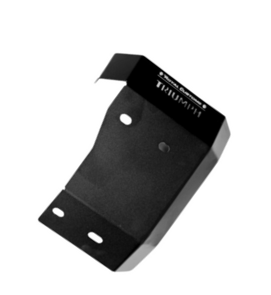 Royal customs triumph SPEED 400 sump guard