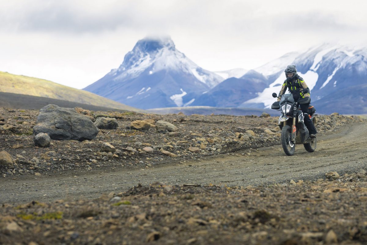 Barkbusters Blizzard Handguards (BBZ-001-01-BK)