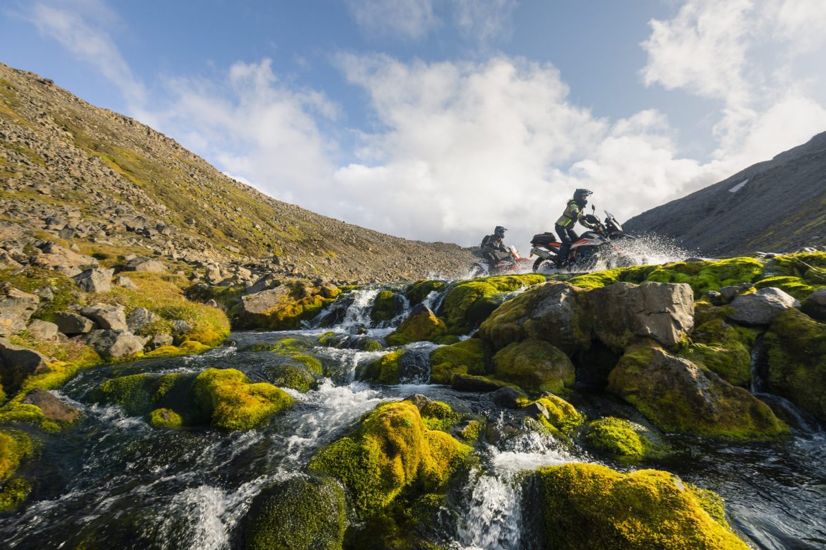 Barkbusters Blizzard Handguards (BBZ-001-01-BK)